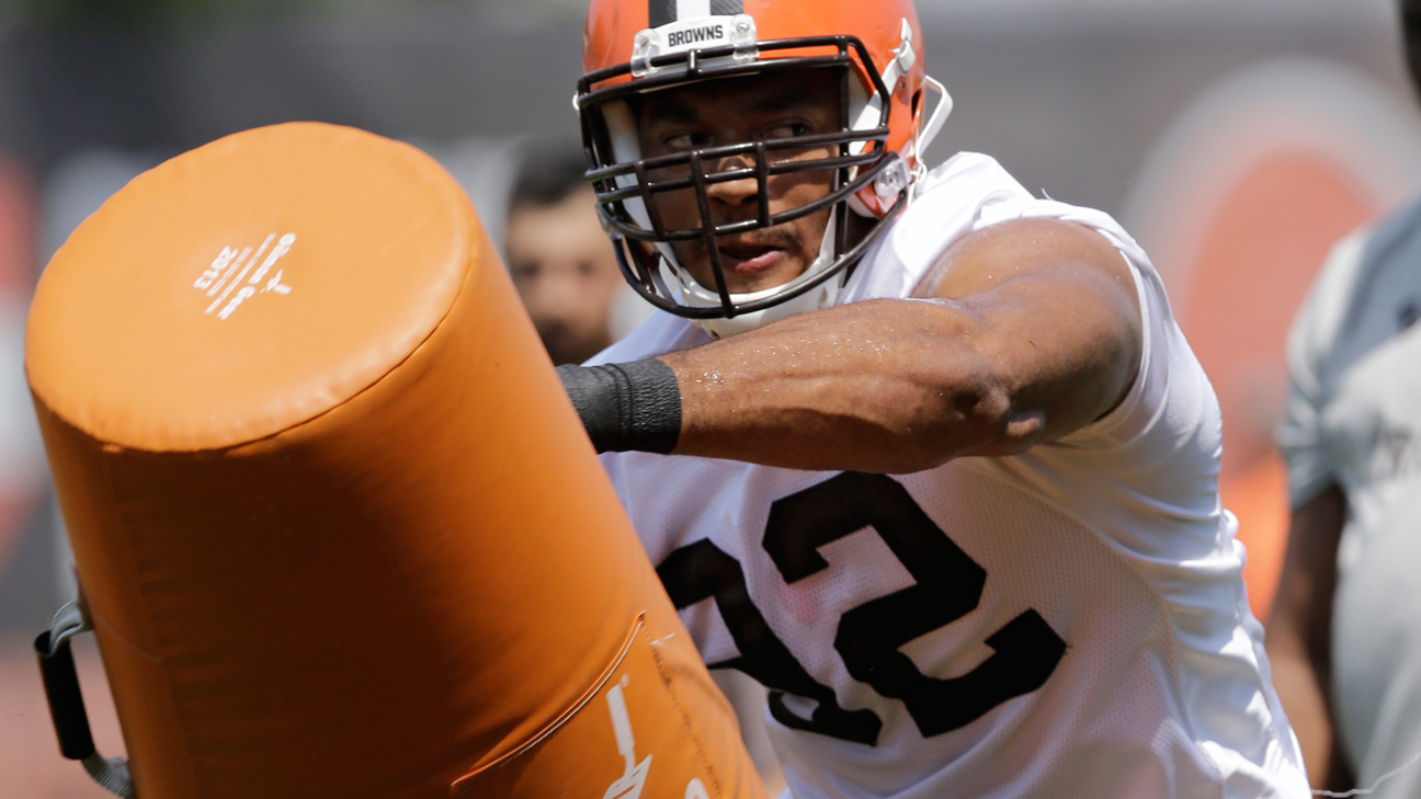 Desmond Bryyant NFL Jersey, image size:1296x729